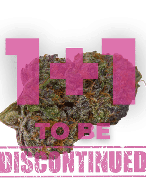 Purple Dosi Punch - Growers Choice feminisiert 3er Pack