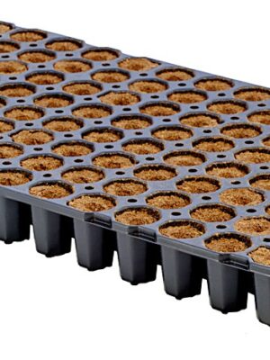 Eazy Plug rund 104C Tray Stecklingsblock