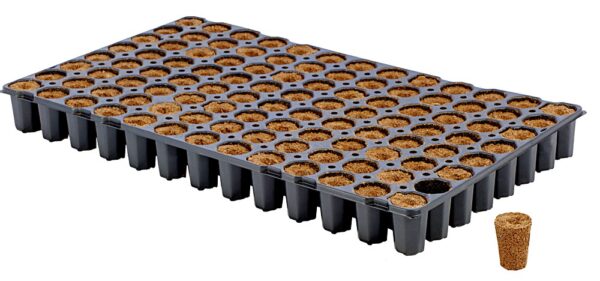 Eazy Plug rund 104C Tray Stecklingsblock