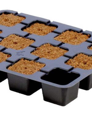 Eazy-Plug-CT12-1.jpg Eazy Plug 12er Tray Stecklingsblock