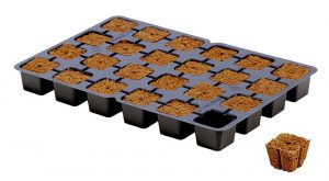 Eazy Plug 24er Tray Stecklingsblock
