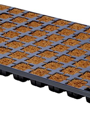 Eazy Plug 77er Tray Stecklingsblock