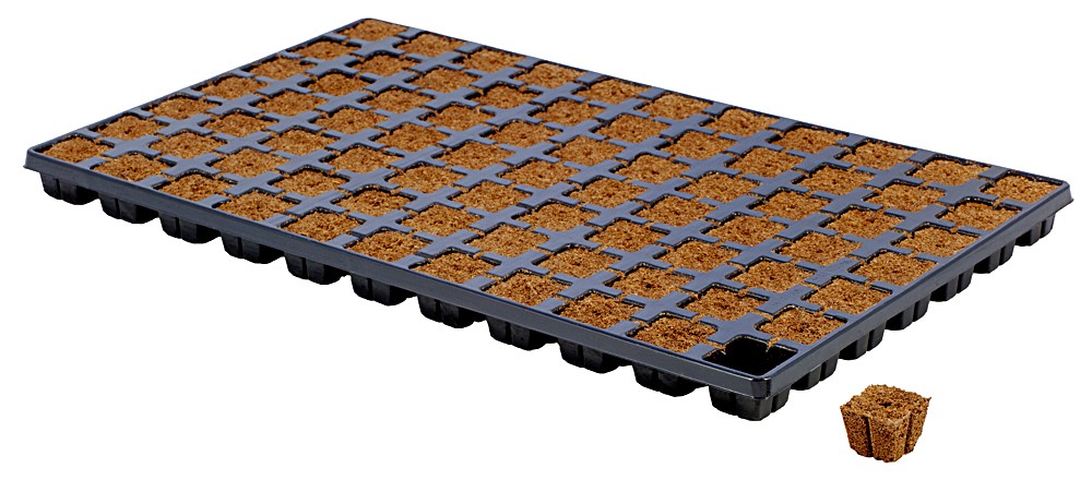 Eazy Plug 77er Tray