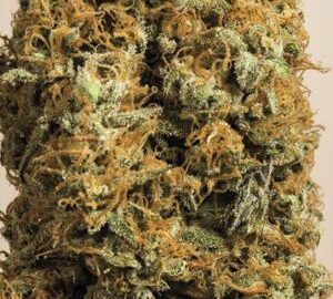 HS0154-green-crack-CBD_512x270.jpg Green Crack - Humboldt Seeds feminisiert 3er Pack