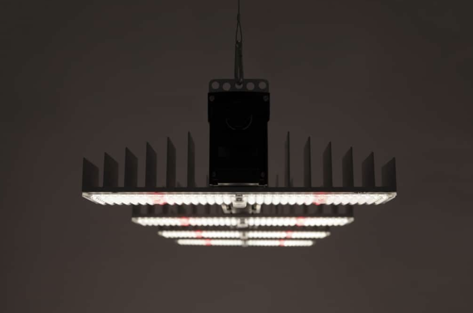 Sanlight EVO Lampe kaufen bei Ibex Grow Growshop.