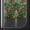 StorePhoto7_Non_Cannabis__78378.1684365908.jpg AC Infinity Stofftöpfe 19 Liter 5er-Pack - Bild 7