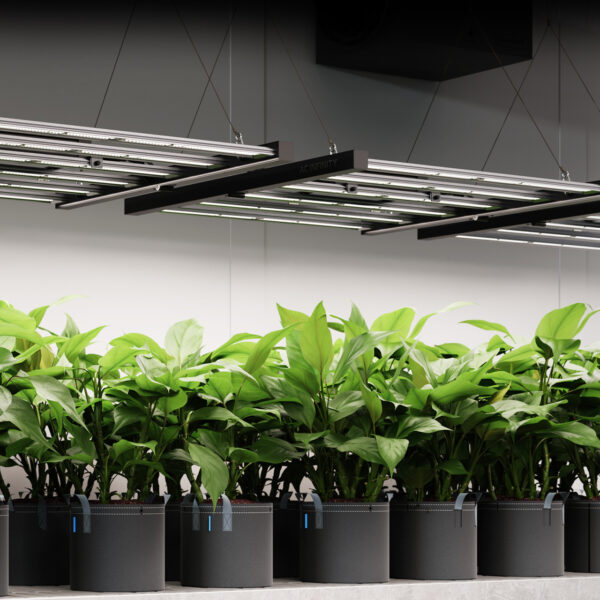 StorePhoto8__03938.1683312501.jpg AC Infinity IONFRAME EVO6 - Bild 7