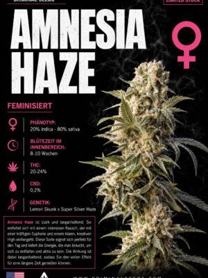 Amnesia Haze - Criminal Seeds feminisiert 3er Pack