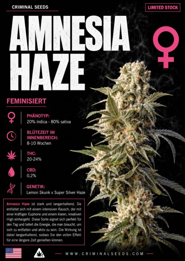 Amnesia Haze – Criminal Seeds feminisiert 3er Pack