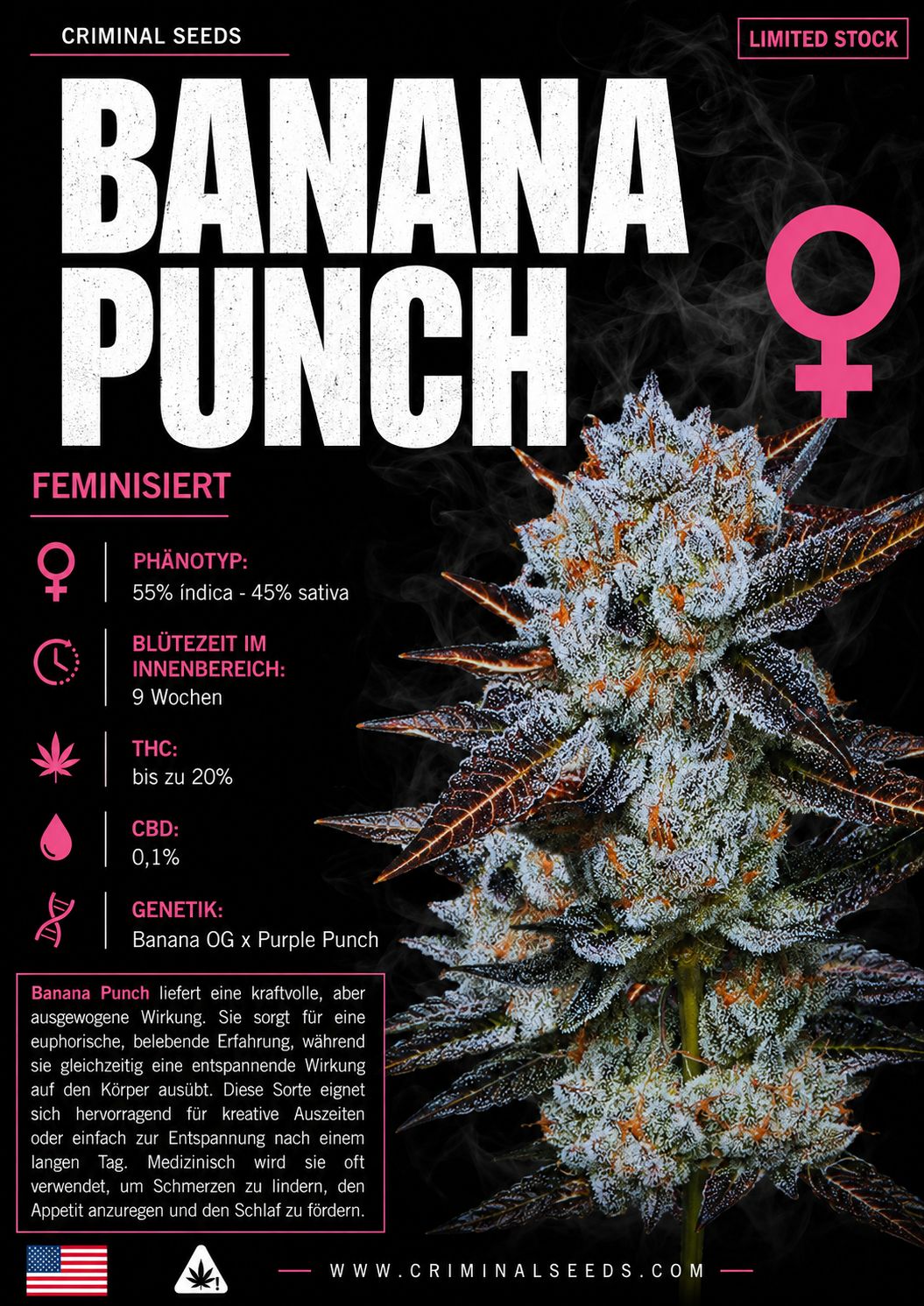 Banana Punch - Criminal Seeds feminisiert 3er Pack