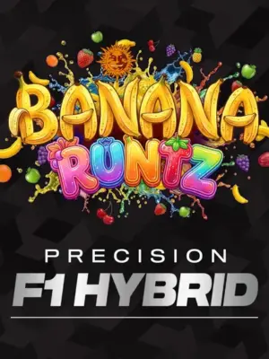 Banana Runtz Barneys Farm 3er Pack