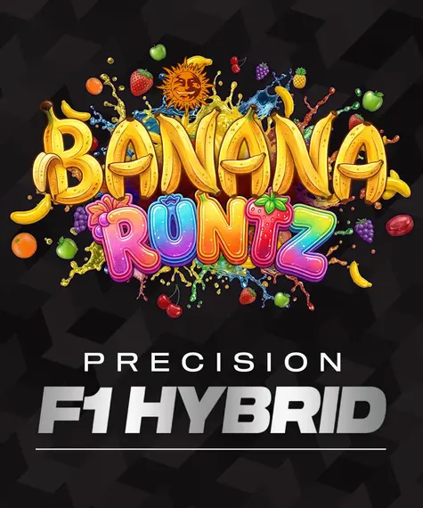 banana-runtz_circle_new_21_275842.webp banana runtz