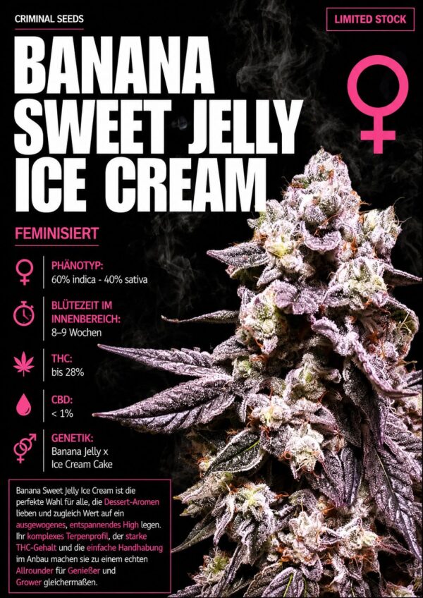 Banana Sweet Jelly Ice Cream x Cali – Criminal Seeds feminisiert 3er Pack Banana Sweet Jelly Ice Cream x Cali - Criminal Seeds feminisiert 3er Pack