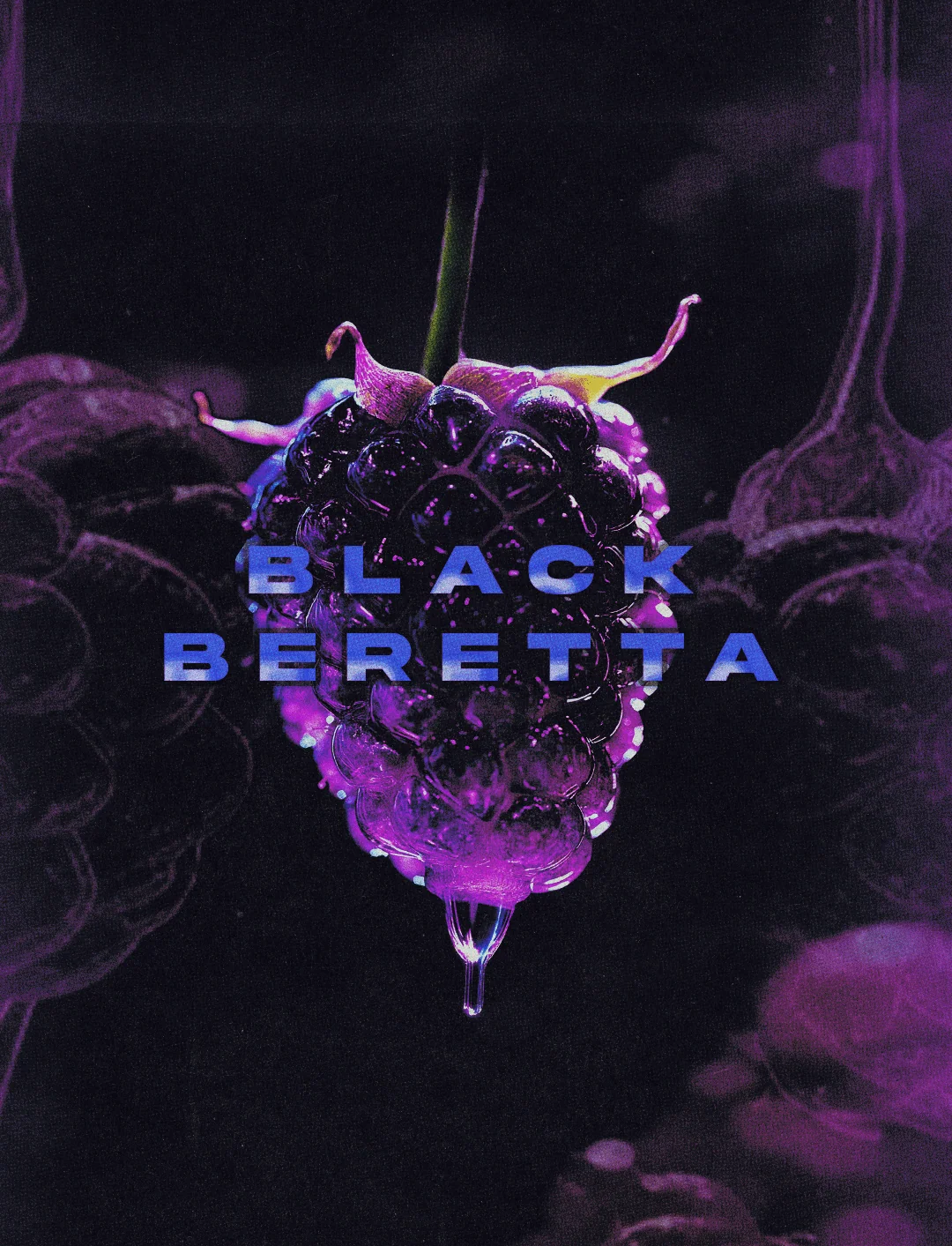 Black Baretta - Cipher Genetics feminisiert 3er Pack