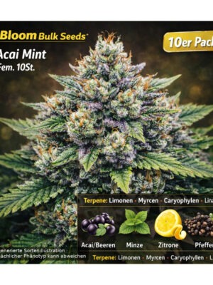 Acai Mint – Bloom Bulk Seeds feminisiert 10er Pack Cannabis Samen