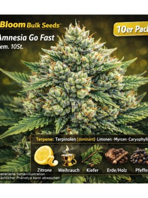 Amnesia Go Fast – Bloom Bulk Seeds feminisiert 10er Pack Cannabis Samen