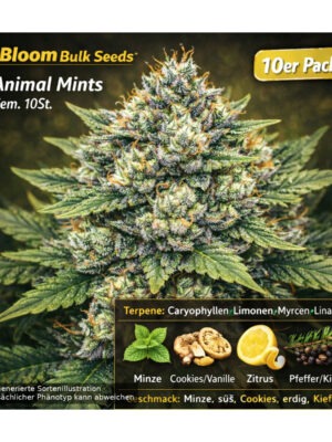 Animal Mints – Bloom Bulk Seeds feminisiert 10er Pack Cannabis Samen