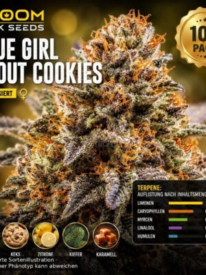 Bloom Bulk Seeds Blue Girl Scout Cookies Fem 10St. Cannabis Samen
