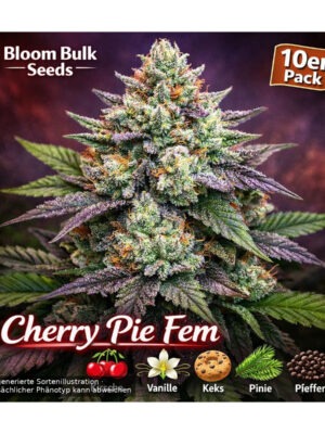 Cherry Pie – Bloom Bulk Seeds feminisiert 10er Pack Cannabis Samen