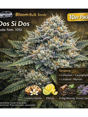 Dos Si Dos Auto – Bloom Bulk Seeds feminisiert 10er Pack Cannabis Samen