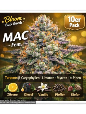 MAC – Bloom Bulk Seeds feminisiert 10er Pack Cannabis Samen
