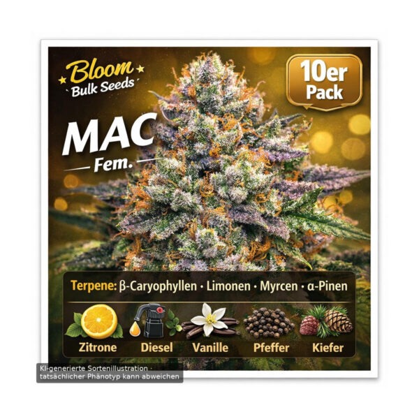 MAC – Bloom Bulk Seeds feminisiert 10er Pack Cannabis Samen