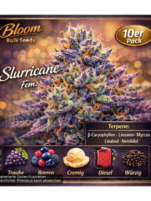 bloom-bulk-seeds-slurricane-fem-10st.jpg Slurricane - Bloom Bulk Seeds feminisiert 10er Pack