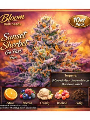 bloom-bulk-seeds-sour-diesel-go-fast-fem-10st.jpg Sour Diesel Go Fast - Bloom Bulk Seeds feminisiert 10er Pack