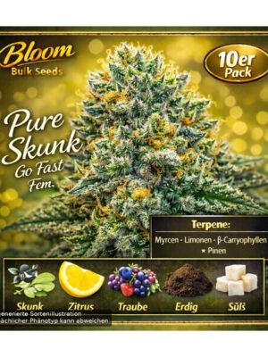 bloom-bulk-seeds-super-silver-haze-fem-10st.jpg Super Silver Haze - Bloom Bulk Seeds feminisiert 10er Pack