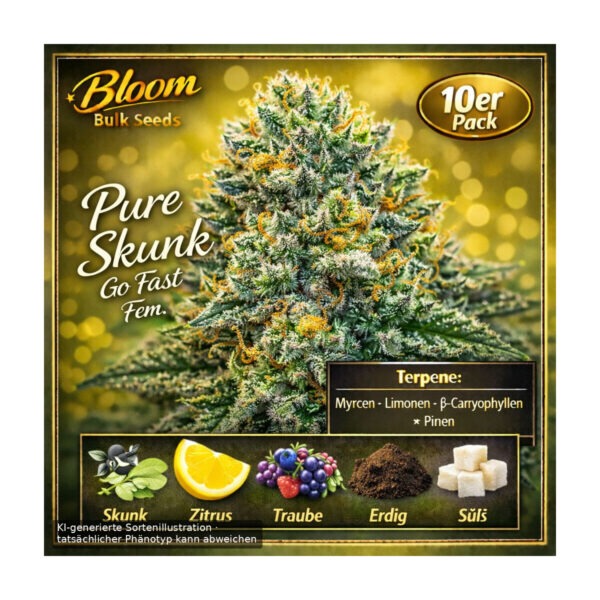 Super Silver Haze – Bloom Bulk Seeds feminisiert 10er Pack Cannabis Samen