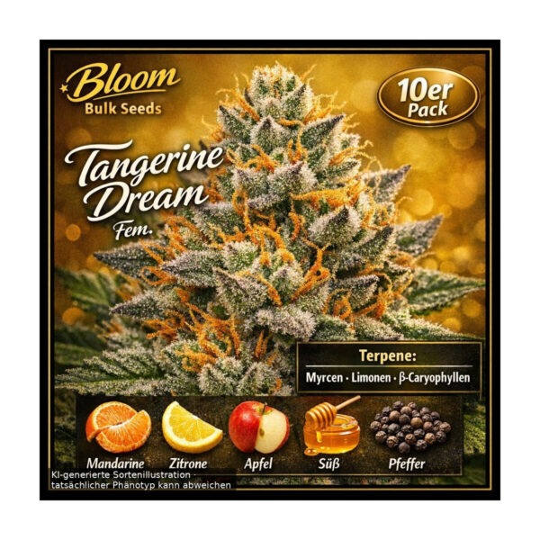 bloom-bulk-seeds-tangerine-dream-fem-10st.jpg Tangerine Dream – Bloom Bulk Seeds feminisiert 10er Pack Cannabis Samen
