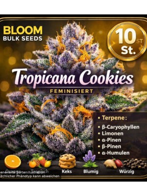 bloom-bulk-seeds-zoap-fem-10st.jpg Zoap - Bloom Bulk Seeds feminisiert 10er Pack
