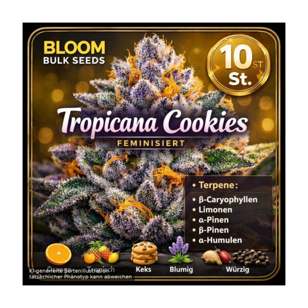 bloom-bulk-seeds-zoap-fem-10st.jpg Zoap – Bloom Bulk Seeds feminisiert 10er Pack Cannabis Samen