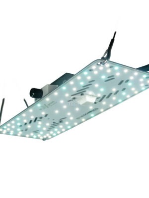 BloomStar FLUXshield Habibi 140 50W Wachstum LED Pflanzenlampe