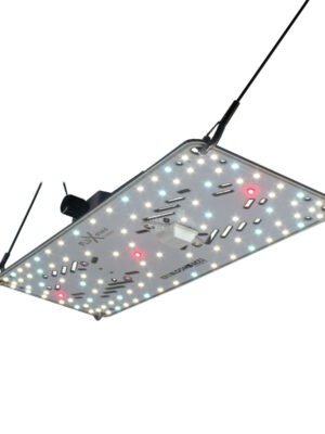 BloomStar FLUXshield Habibi 150 50W Vollspektrum LED Pflanzenlampe