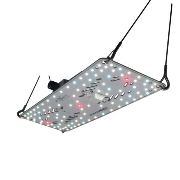BloomStar FLUXshield Habibi 150 50W Vollspektrum LED Pflanzenlampe