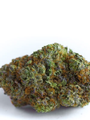Growers Choice Blue Forest Berry Samen Growers Choice Blue Forest Berry Samen