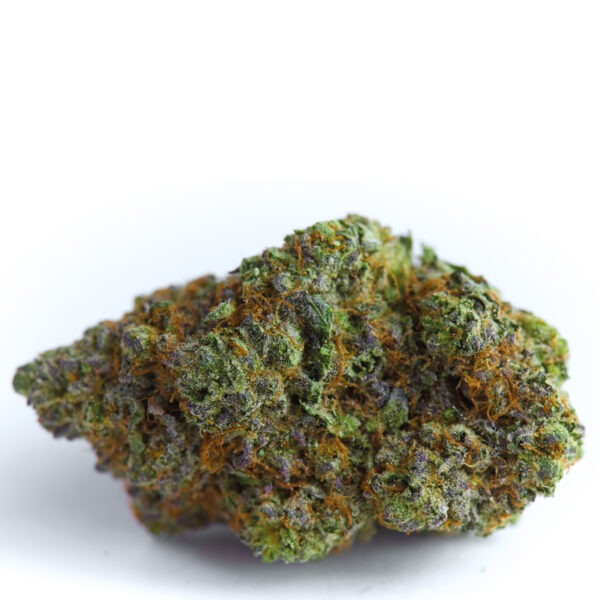 Growers Choice Blue Forest Berry Samen