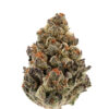 Growers Choice Bruce Banner Autoflower Samen – Bild 2