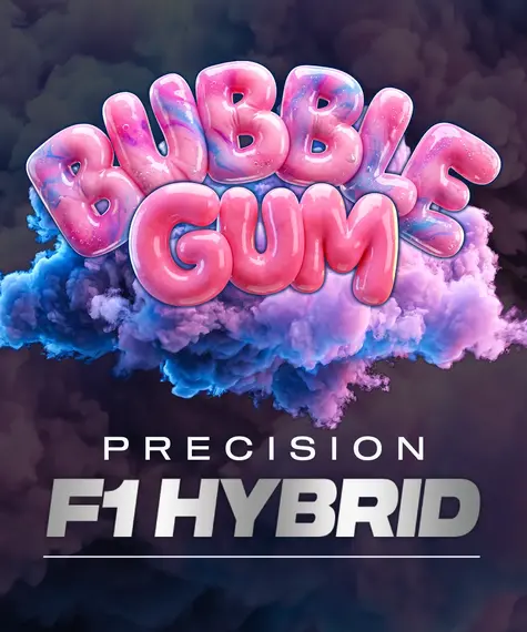 bubblegum-auto_circle_new_21_277475.webp bubblegum