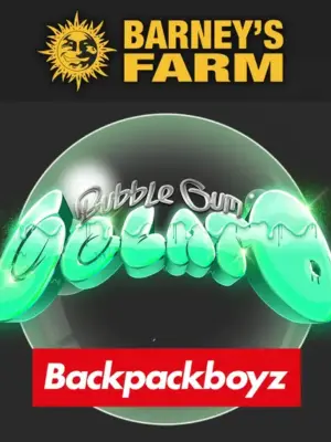 Bubblegum Gelato - Barneys Farm feminisiert 3er Pack