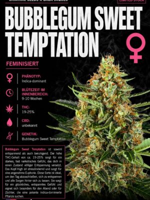 Bubblegum Sweet Temptation – Criminal Seeds feminisiert 3er Pack