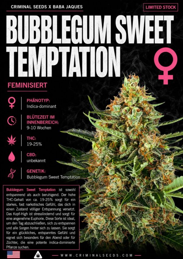 Bubblegum Sweet Temptation – Criminal Seeds feminisiert 3er Pack