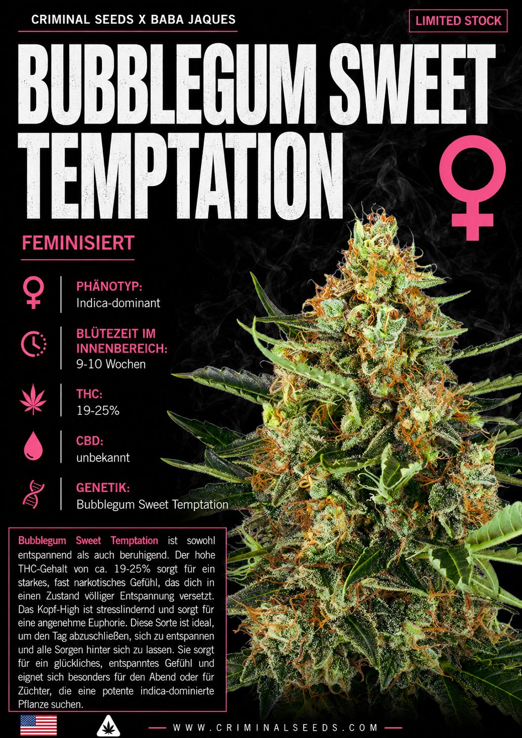 Bubblegum Sweet Temptation - Criminal Seeds feminisiert 3er Pack