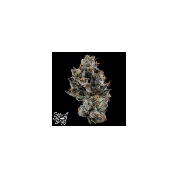 Cali Tings – Wizard Trees feminisiert 3er Pack