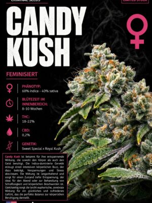 Candy Kush - Criminal Seeds feminisiert 3er Pack