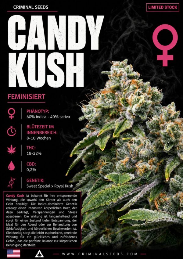 Candy Kush - Criminal Seeds feminisiert 3er Pack
