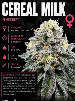Cereal Milk x Cali – Criminal Seeds feminisiert 3er Pack