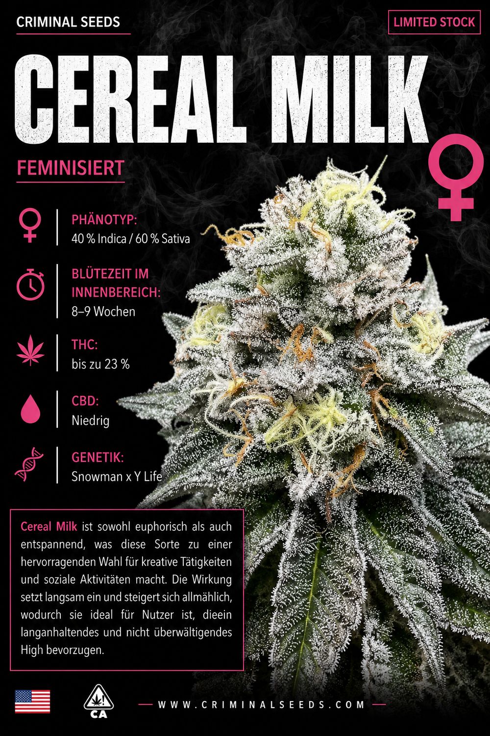 Cereal Milk x Cali - Criminal Seeds feminisiert 3er Pack