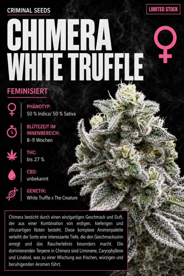 Chimera White Truffle Cali Limited Edition – Criminal Seeds feminisiert 3er Pack
